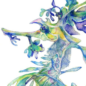 蜻蛉