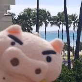 おにぎり*