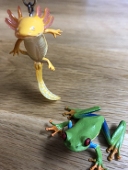 沖