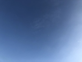 木の杉