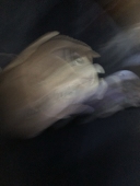 ねむねむねむねねね