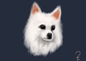 VyLe