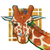 デカモ タロー