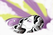 ﾌｼﾞﾔﾏ