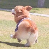 缓缓