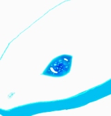 eveyuu
