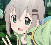 stein