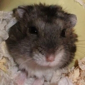 下田稔