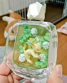 隼汰(いろは)