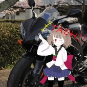 こうどれす