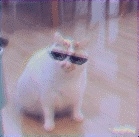 Rivenosu