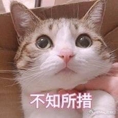 唐十九