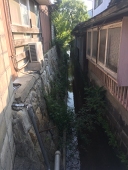 はやしらいす