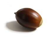 rata