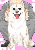 せ