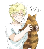 サビ猫