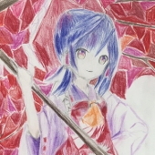 はるぽん