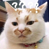 Tong_sama