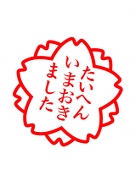 ほぼ見る専