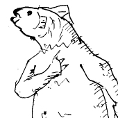 さかな