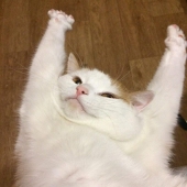 R鉄