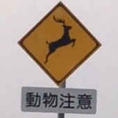はといち