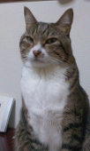 高瀬ぴー
