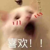 次元彼方
