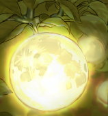 こち