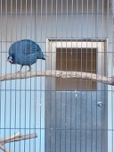 さん