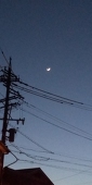 Lunaっち