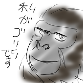 輝った龍