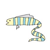 しなき