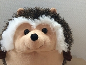 ともち