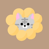 ここすけ