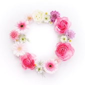 星菜