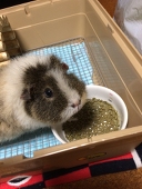 おっちょ