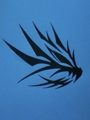 Cu Chulainn