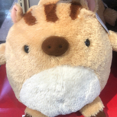 bukoji