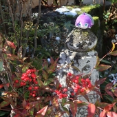 ちゃんちゃんこ