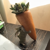 天野灰音