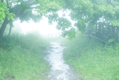 雨霧