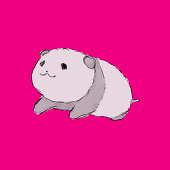 歯科