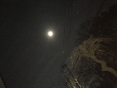 もしもだ