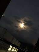 なんかもうめっちゃ好きです!