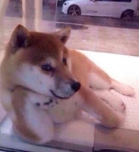 明福