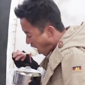 西尔维西斯