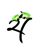 27