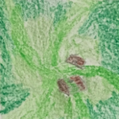 AllureOfWind