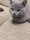 古堡众魔
